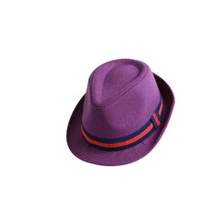 Шляпа Lancaster CAL003-5 Фиолетовый цена и информация | Мужские шарфы, шапки, перчатки | kaup24.ee