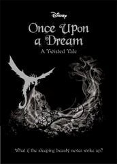 Disney Princess Sleeping Beauty: Once Upon a Dream hind ja info | Noortekirjandus | kaup24.ee