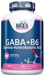 Toidulisand Haya Labs Gaba + B6 500 mg 100 vege kapslit цена и информация | Энергетики | kaup24.ee