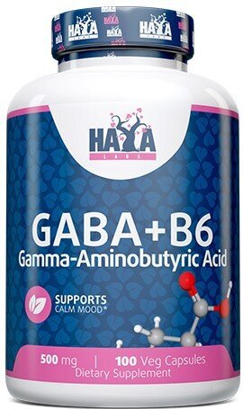 Toidulisand Haya Labs Gaba + B6 500 mg 100 vege kapslit hind ja info | Ergutid | kaup24.ee
