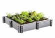 Peenrakast Garden Box 120cm x 120cm x 22cm цена и информация | Aiatööriistad | kaup24.ee