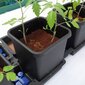 Automaatse kastmisega taimepott Autopot 15L hind ja info | Dekoratiivsed lillepotid | kaup24.ee