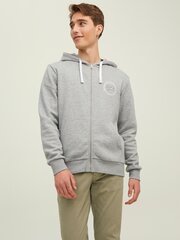 Мужская толстовка Jack & Jones 12211515*01 5715309736844, светло-серая  цена и информация | Jack&Jones Одежда, обувь и аксессуары | kaup24.ee