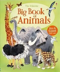 Big Book of Animals UK NEW hind ja info | Väikelaste raamatud | kaup24.ee