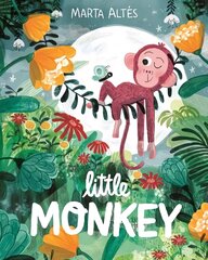 Little Monkey hind ja info | Väikelaste raamatud | kaup24.ee