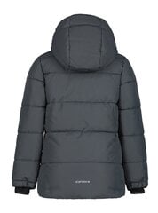 Детская куртка Icepeak Loris 300 г 50034-2*270, h 6438522684806 цена и информация | Куртки, пальто для девочек | kaup24.ee