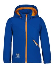 Icepeak laste softshell-jope Jaora 51844-2*938, s 6438522688088 цена и информация | Свитеры, жилетки, пиджаки для мальчиков | kaup24.ee