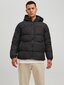 JACK & JONES meeste jope 200g 12212212*01, m 5715310470508 цена и информация | Meeste joped | kaup24.ee