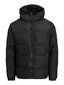 JACK & JONES meeste jope 200g 12212212*01, m 5715310470508 цена и информация | Meeste joped | kaup24.ee