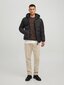 JACK & JONES meeste jope 200g 12212212*01, m 5715310470508 цена и информация | Meeste joped | kaup24.ee