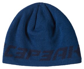 Мужская шапка Icepeak Halawa, 58837-2*380, синяя, 6438522968142 цена и информация | Мужские шарфы, шапки, перчатки | kaup24.ee