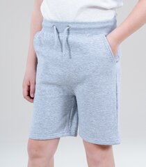 Poiste lühikesed püksid, helehall hind ja info | Poiste lühikesed püksid | kaup24.ee