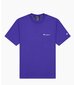 Champion meeste T-särk 217159*BS149, sinine 8054112123050 цена и информация | Meeste T-särgid | kaup24.ee