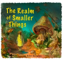 Realm of Smaller Things цена и информация | Книги для малышей | kaup24.ee