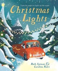 Christmas Lights цена и информация | Книги для малышей | kaup24.ee
