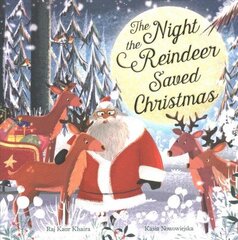 Night the Reindeer Saved Christmas: Discover how Santa met his reindeer in this festive, feminist picture book цена и информация | Книги для малышей | kaup24.ee