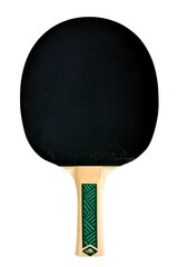 Ракетка для настольного тенниса Donic Schildkröt Champs Line 400 цена и информация | Ракетки для настольного тенниса, чехлы и наборы | kaup24.ee