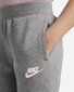 Nike laste dressipüksid 36I255*GEH, hall 742728958569 hind ja info | Tüdrukute retuusid, püksid | kaup24.ee