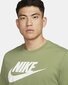 Nike meeste T-särk AR5004*334, roheline/valge 195871844232 hind ja info | Meeste T-särgid | kaup24.ee