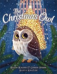 Christmas Owl hind ja info | Väikelaste raamatud | kaup24.ee