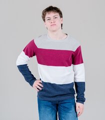 Jack & Jones meeste pullover 12201706*01, beež/punane 5715210891786 hind ja info | Meeste kampsunid | kaup24.ee