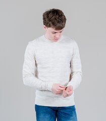 JACK & JONES MEESTE PULLOVER 12209051*01, beež 5715223708262 цена и информация | Мужские свитера | kaup24.ee