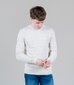 JACK & JONES MEESTE PULLOVER 12209051*01, beež 5715223708262 цена и информация | Meeste kampsunid | kaup24.ee