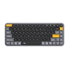 Wireless keyboard Aigo V200 (black) цена и информация | Клавиатуры | kaup24.ee