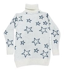 Детский свитер с высоким горлом Doffbi цена и информация | Свитеры, жилетки, пиджаки для мальчиков | kaup24.ee