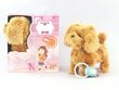 Interaktiivne mängukoer koos rihmaga (pruun), 3+ цена и информация | Tüdrukute mänguasjad | kaup24.ee