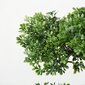 Boltze kunsttaim Bonsai hind ja info | Sisustuselemendid | kaup24.ee