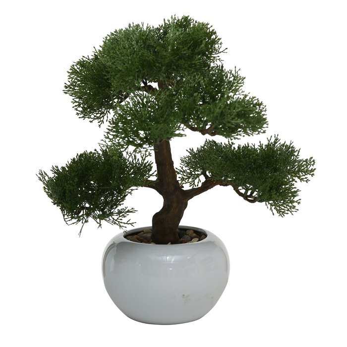 Boltze kunsttaim Bonsai hind ja info | Sisustuselemendid | kaup24.ee