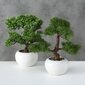 Boltze kunsttaim Bonsai hind ja info | Sisustuselemendid | kaup24.ee