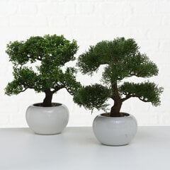 Boltze kunsttaim Bonsai цена и информация | Детали интерьера | kaup24.ee