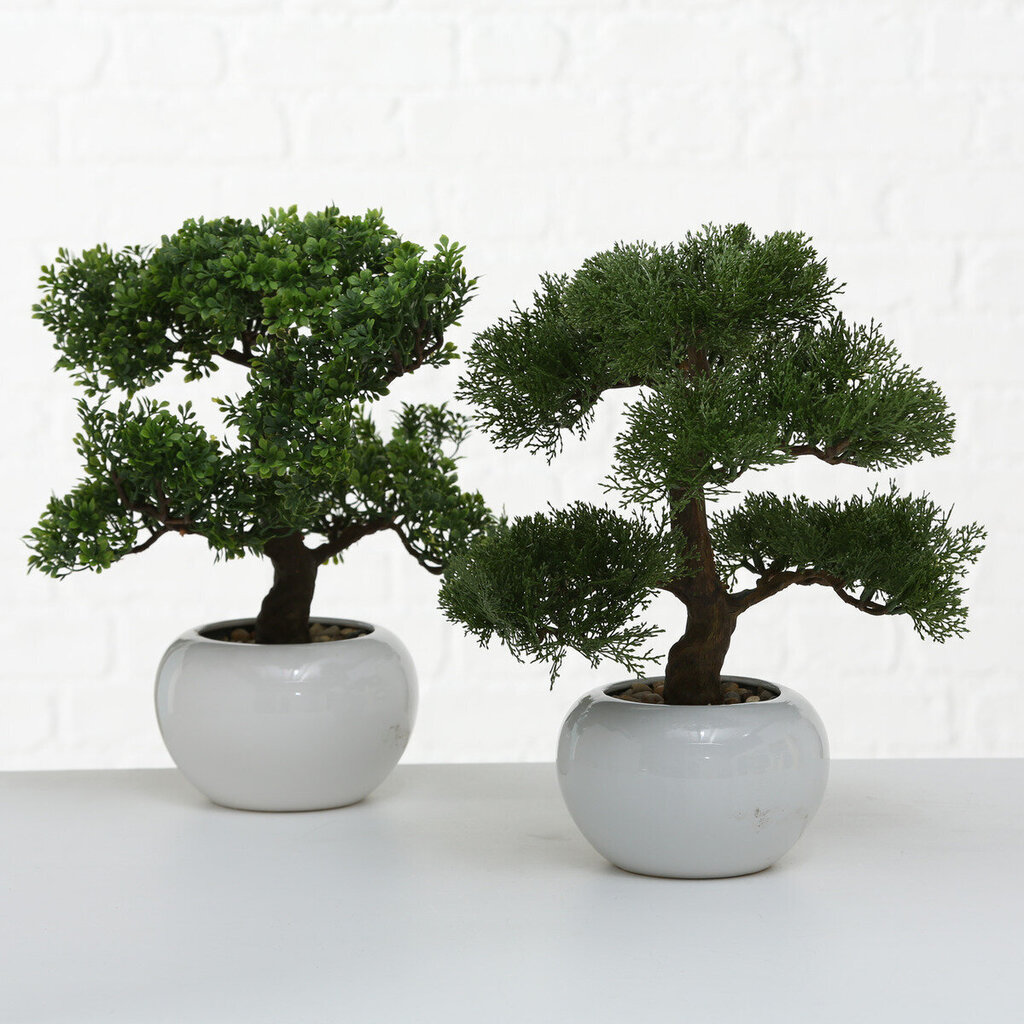 Boltze kunsttaim Bonsai hind ja info | Sisustuselemendid | kaup24.ee