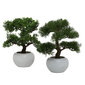 Boltze kunsttaim Bonsai hind ja info | Sisustuselemendid | kaup24.ee