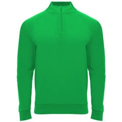 Мужская толстовка EPIRO, зеленая цена и информация | свитер e193 - черный | kaup24.ee