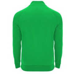 Мужская толстовка EPIRO, зеленая цена и информация | Мужские свитера | kaup24.ee