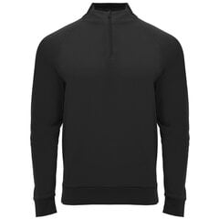 Мужская толстовка EPIRO, черная цена и информация | Мужские свитера | kaup24.ee