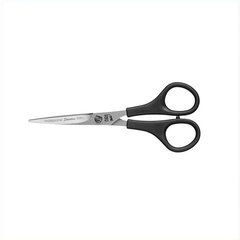 Ножницы Eurostil цена и информация | Расчески, щетки для волос, ножницы | kaup24.ee