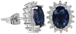 Troli Siniste kristallidega sädelevad kõrvarõngad hind ja info | Kõrvarõngad | kaup24.ee