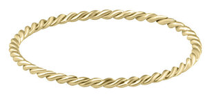 Минималистское золотое кольцо с напылением Troli  цена и информация | Кольцо | kaup24.ee