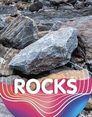 Rocks цена и информация | Книги для подростков и молодежи | kaup24.ee