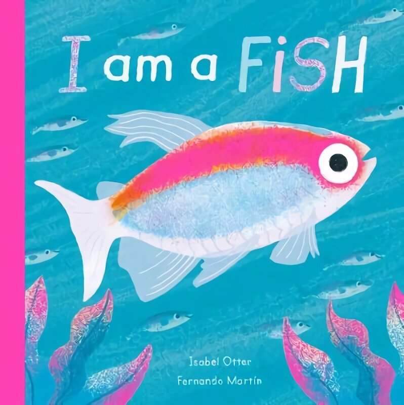 I am a Fish hind ja info | Noortekirjandus | kaup24.ee