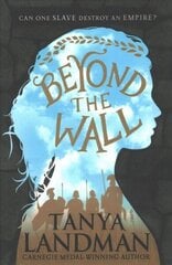 Beyond the Wall hind ja info | Noortekirjandus | kaup24.ee