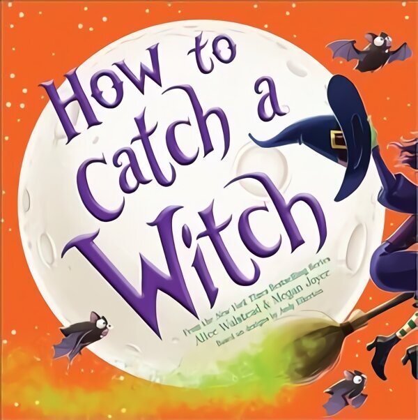 How to Catch a Witch цена и информация | Noortekirjandus | kaup24.ee