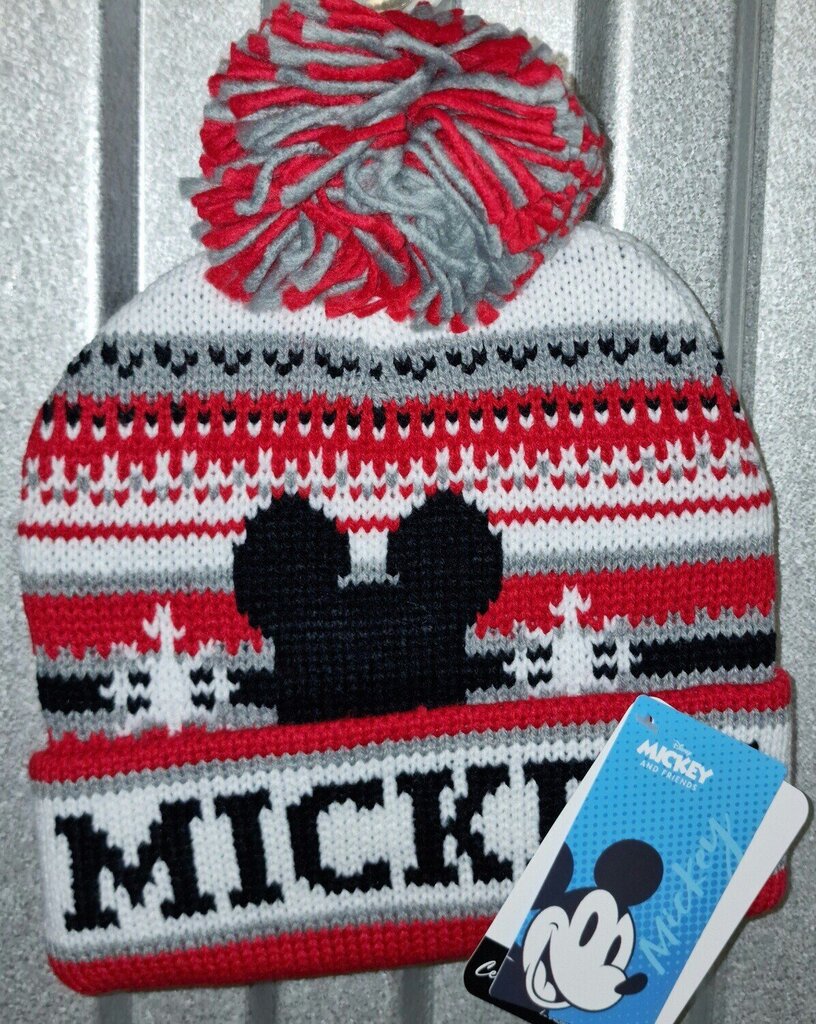 Talvemüts Mickey Mouse цена и информация | Poiste mütsid, sallid, kindad | kaup24.ee