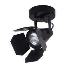 Потолочный светильник Italux Milton FH30921B цена и информация | Потолочные светильники | kaup24.ee