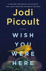 Wish You Were Here: A Novel цена и информация | Фантастика, фэнтези | kaup24.ee