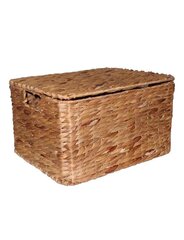 Коробка 40x31xH22 см цена и информация | Ящики для вещей | kaup24.ee